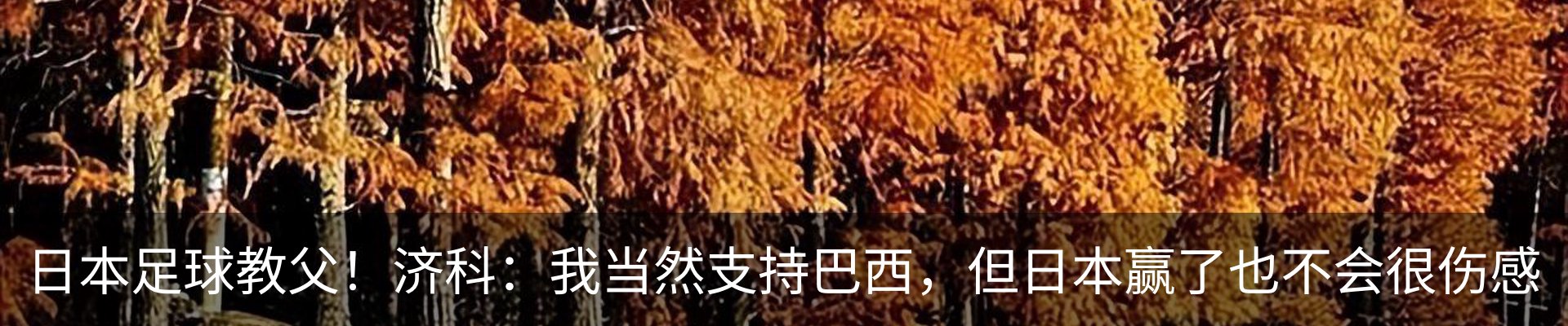 资讯中心